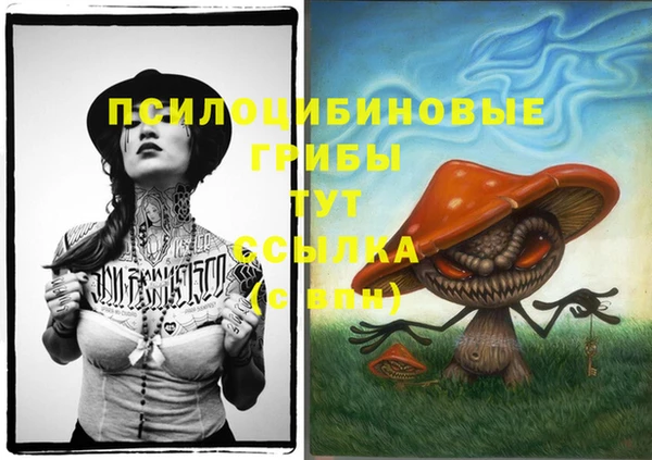 мдпв Беломорск