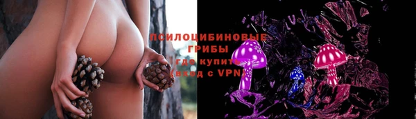 таблы Белокуриха