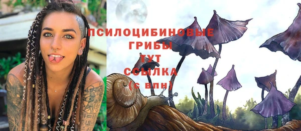 соль ск Белоозёрский