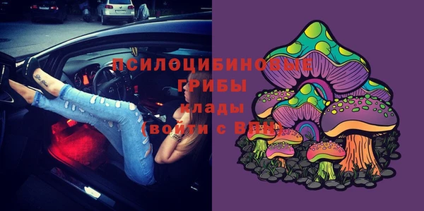 мдпв Беломорск