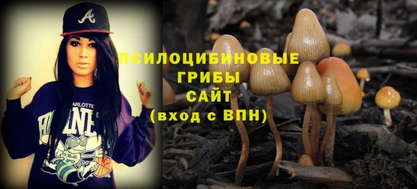 таблы Белокуриха