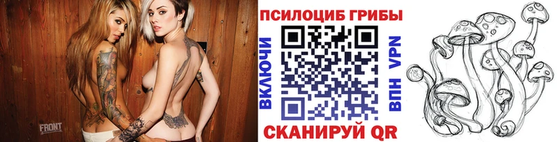 blacksprut ссылка  закладки  Володарск  Псилоцибиновые грибы ЛСД 